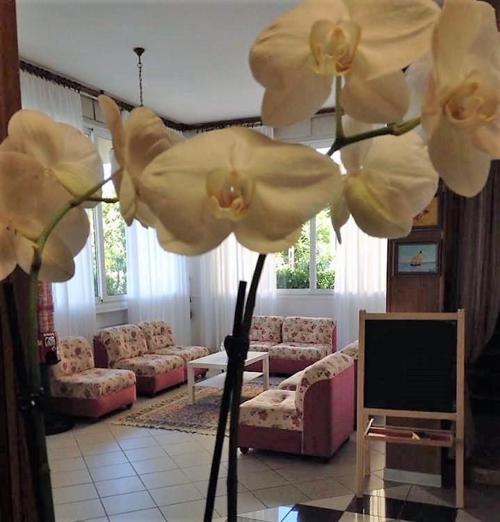 Hotel Primula Lido Di Savio Dış mekan fotoğraf
